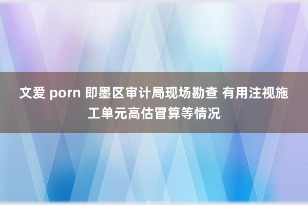 文爱 porn 即墨区审计局现场勘查 有用注视施工单元高估冒算等情况