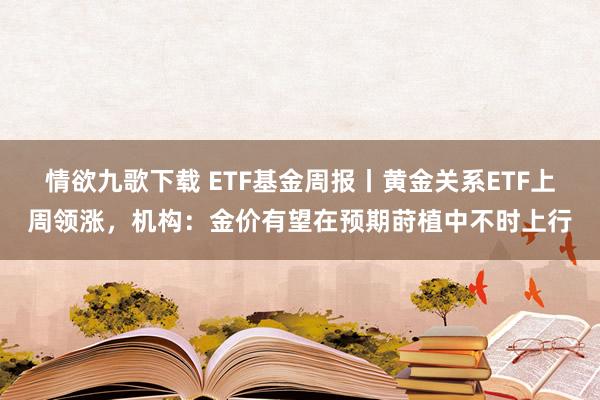 情欲九歌下载 ETF基金周报丨黄金关系ETF上周领涨，机构：金价有望在预期莳植中不时上行