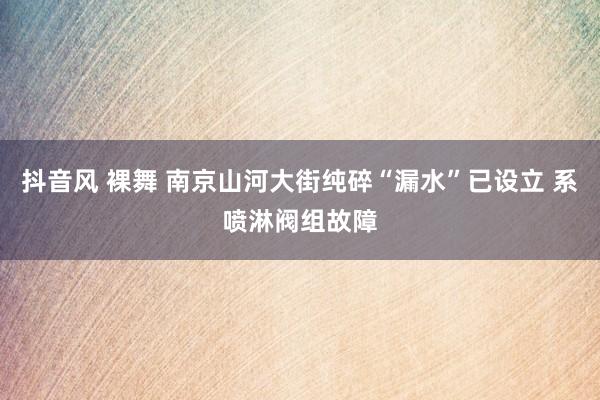 抖音风 裸舞 南京山河大街纯碎“漏水”已设立 系喷淋阀组故障