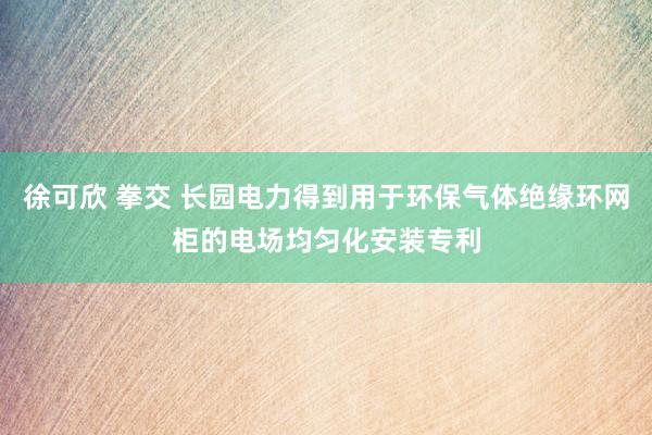 徐可欣 拳交 长园电力得到用于环保气体绝缘环网柜的电场均匀化安装专利