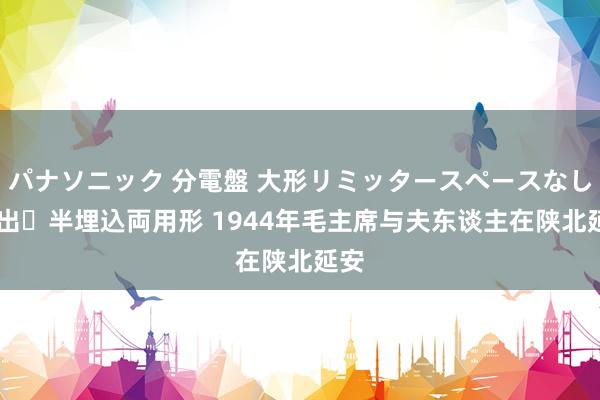 パナソニック 分電盤 大形リミッタースペースなし 露出・半埋込両用形 1944年毛主席与夫东谈主在陕北延安