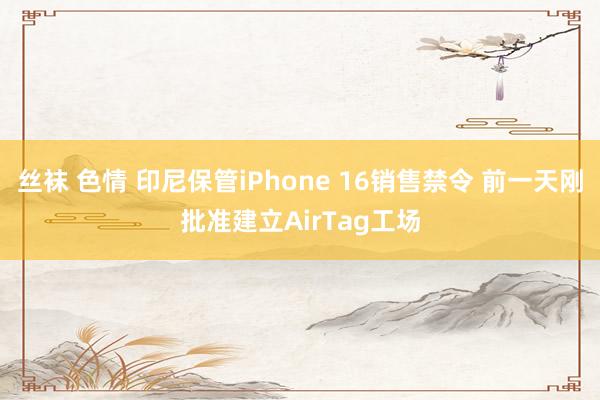 丝袜 色情 印尼保管iPhone 16销售禁令 前一天刚批准建立AirTag工场