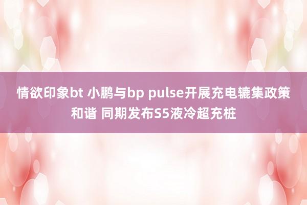 情欲印象bt 小鹏与bp pulse开展充电辘集政策和谐 同期发布S5液冷超充桩