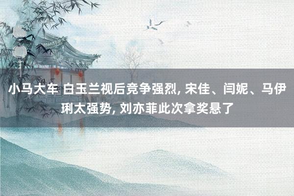 小马大车 白玉兰视后竞争强烈, 宋佳、闫妮、马伊琍太强势, 刘亦菲此次拿奖悬了